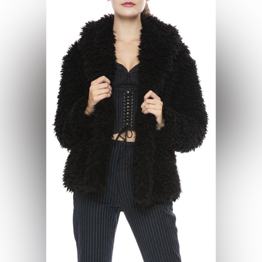 NWT Line The Label Emile Faux Shearling Coat